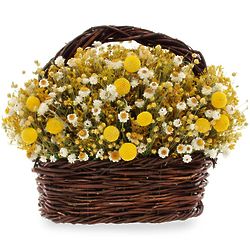 Yellow Caspia and Daisy Dried Flower Basket