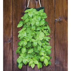 Italian Herb Vertical Garden Kit