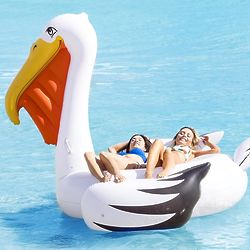 Giant Pelican Pool Float