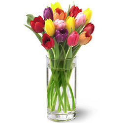 Bright Lights Tulips in Vase
