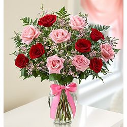 Shades of Pink and Red Premium Long Stem Rose Bouquet