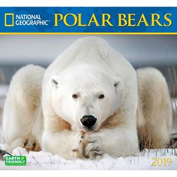 National Geographic Polar Bears 2019 Calendar