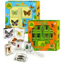 Young Scientist's Bug World Bug Collection