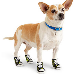 Camo Dog Shoes