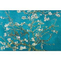 Blossoming Almond Tree Canvas Print