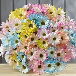Colored Daisy Bouquet