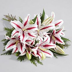 Deluxe Candy Cane Lilies Bouquet