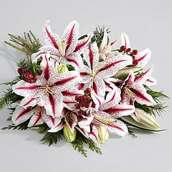 Premium Candy Cane Lilies Bouquet