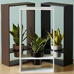 Living Art Framed Plant