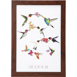 Love Is in the Air Hummingbird Art Print