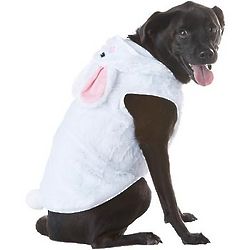 White Bunny Face Dog Hoodie