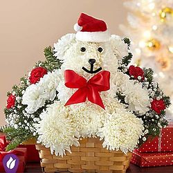 Very Merry Beary in Santa Hat Carnation Bouquet