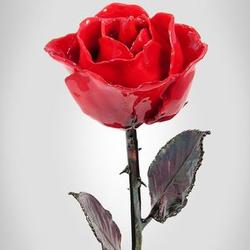 Copper Stem Preserved Red Rose
