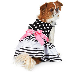Black and White Polka Dot Dog Dress