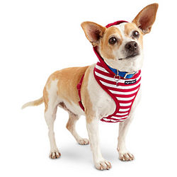 Red Striped T-Strap Dog Harness