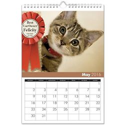 Personalized Cat Calendar