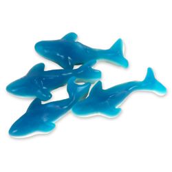 5 Pounds of Blue Gummy Shark Candies