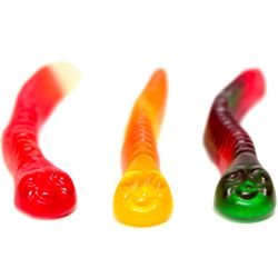 5 Pounds of Assorted Fruit Gummy Worm Candies
