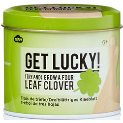 Get Lucky Try and Grow A Four Leaf Clover Kit