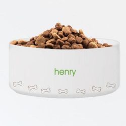 Green Pet's Name Classic Bones Personalized Large Dog Bowl