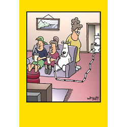 Toilet Straw Humor Birthday Card
