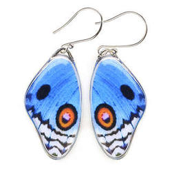 Blue Pansy Butterfly Wing Earrings