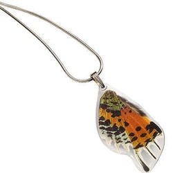 Sunset Butterfly Wing Pendant