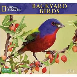 2016 National Geographic Backyard Birds Wall Calendar