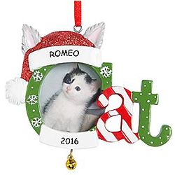 Personalized Cat Photo Frame Ornament