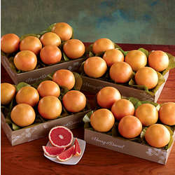 Four Trays of Red Grapefruit