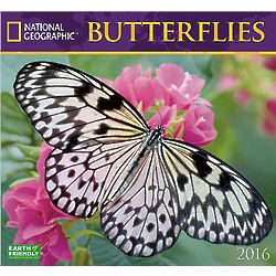 2016 National Geographic Butterflies Wall Calendar