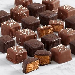 20 Chocolate Covered Peanut Butter Bites Gift Box