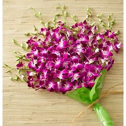 Exotic Breeze Orchid Bouquet