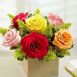 Radiant Rose Bouquet