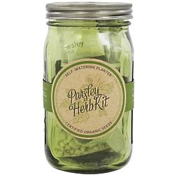 Parsley Herb Kit in 32 Ounce Mason Jar