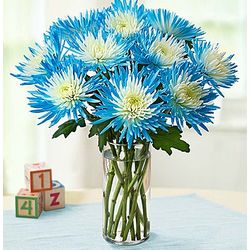 Baby's Pink or Blue Flower Bouquet