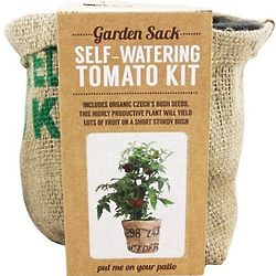 Self Watering Garden Sack Tomato Kit