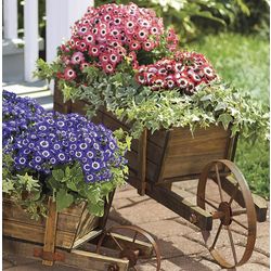 Large Wooden Wheelbarrow Planter with Functional Wheel