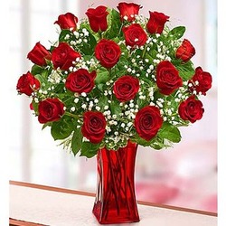 Blooming Love 12 Premium Red Roses in Red Vase