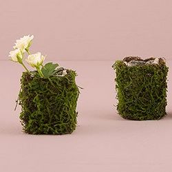 Moss and Wicker Mini Planters