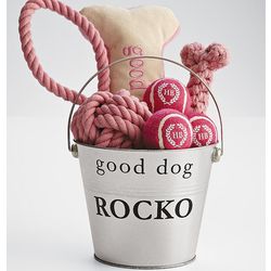 Pink Dog Toys Gift Bucket