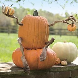 Poseable Pumpkin Vine Arms and Legs