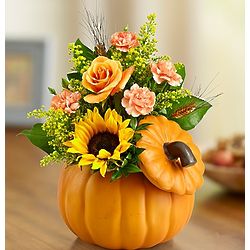 Pumpkin and Posies Bouquet