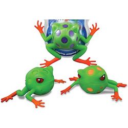 Froggy Water Bouncer