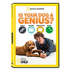 Is Your Dog a Genius DVD