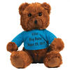 Ring Bearer's Plush Teddy Bear with Personalized T-Shirt