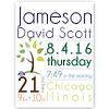 Personalized Baby Boy Announcement Tree Canvas Art Print